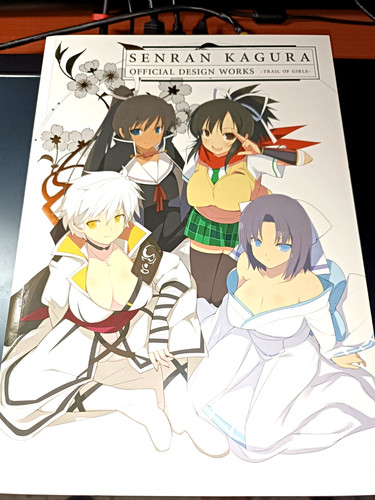 Senran kagura official design - official,